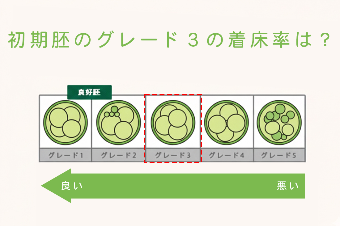 初期胚グレード3の着床率は？【胚培養士監修】初期胚グレード3でも妊娠できる！着床率を上げる5つの方法｜不妊治療なら生殖医療クリニック錦糸町駅前院
