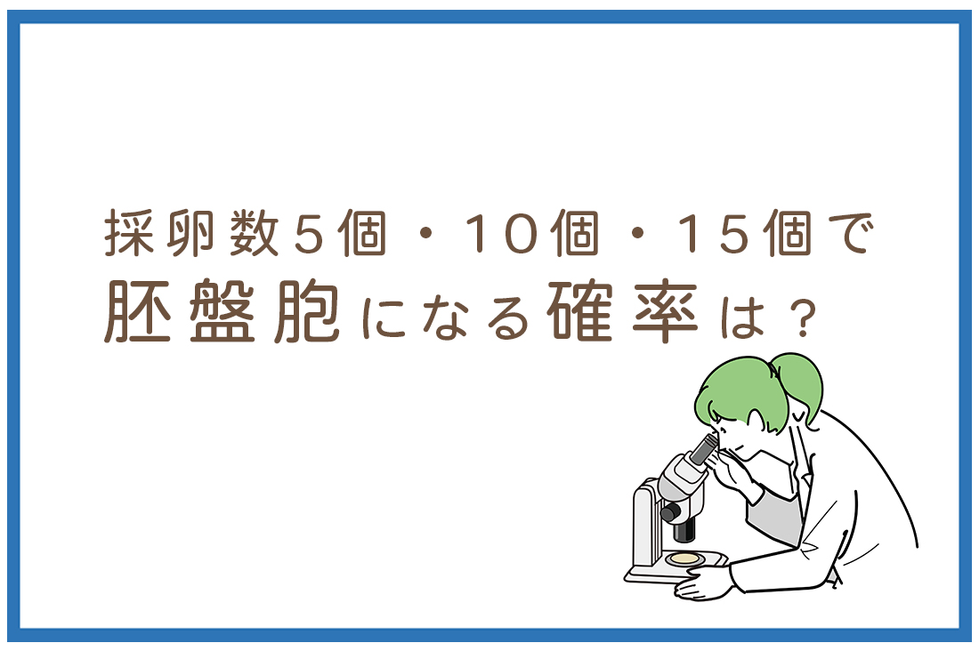 採卵数5個・10個・15個で胚盤胞になる確率は？胚培養士が教える年齢別期待値と不妊治療の重要指標｜不妊治療なら生殖医療クリニック錦糸町駅前院