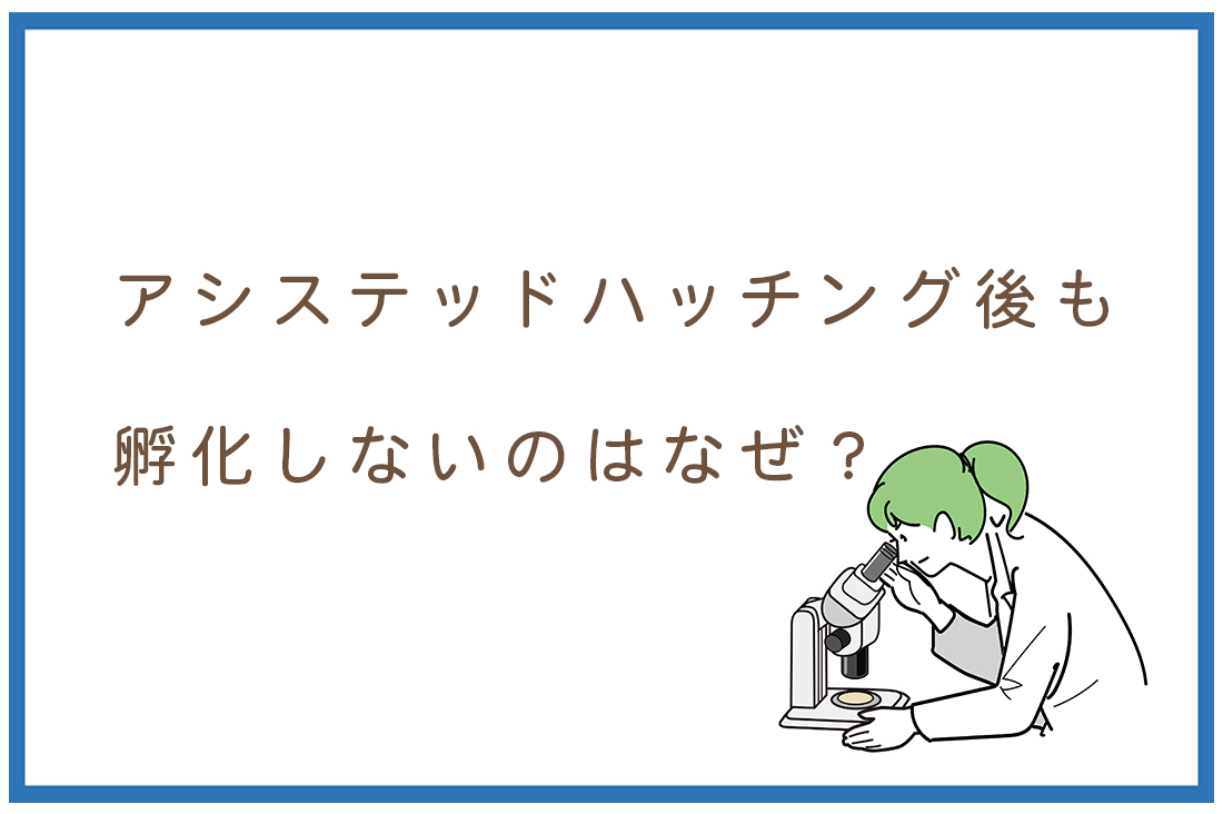 アシストハッチング後も孵化しないのはなぜ？？原因と対策を現役胚培養士が徹底解説。【永久保存版】｜不妊治療なら生殖医療クリニック錦糸町駅前院