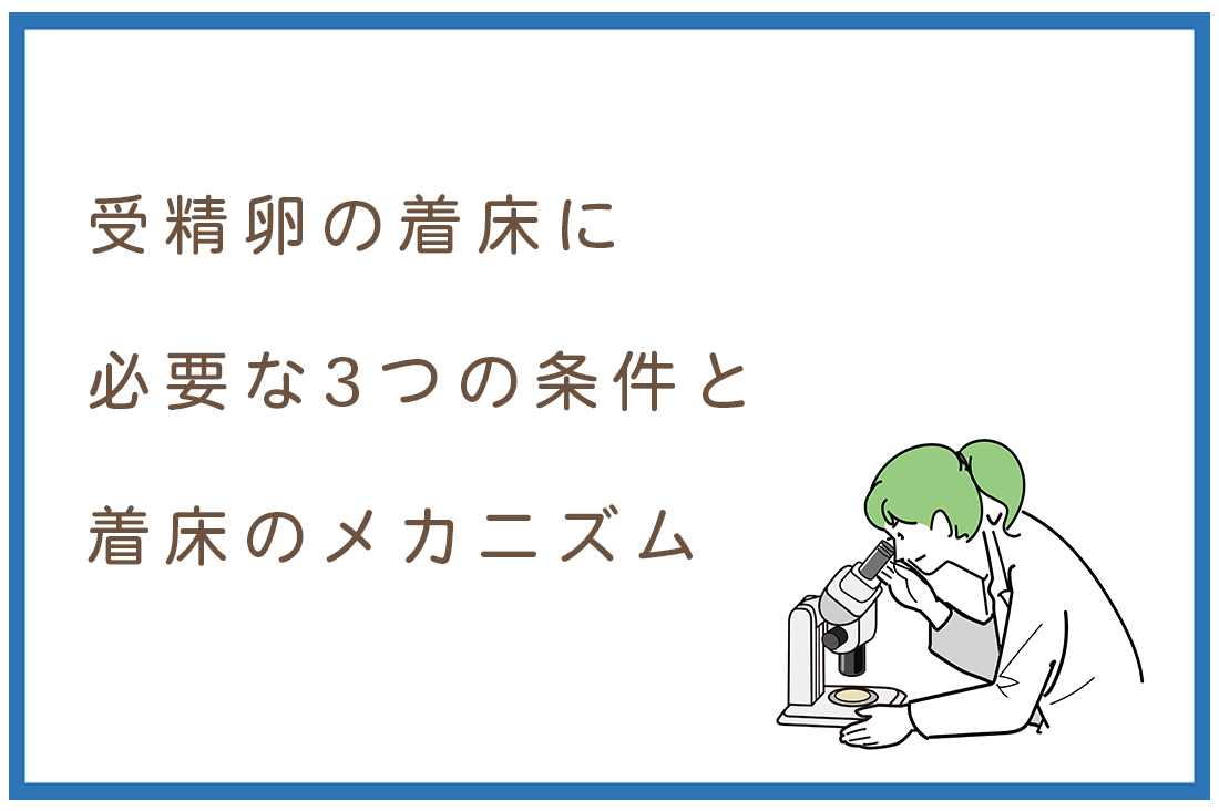 受精卵の着床率を高める方法とは？胚培養士が教える着床に必要な3つの条件と着床のメカニズム。着床不全の原因と対策も網羅｜不妊治療なら生殖医療クリニック錦糸町駅前院