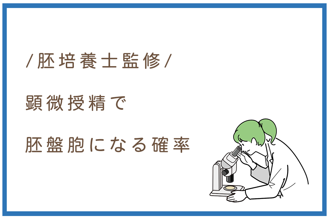顕微授精で胚盤胞になる確率ってどれくらい？【胚培養士監修】年齢別の確率から具体的な改善方法まで徹底解説。｜不妊治療なら生殖医療クリニック錦糸町駅前院