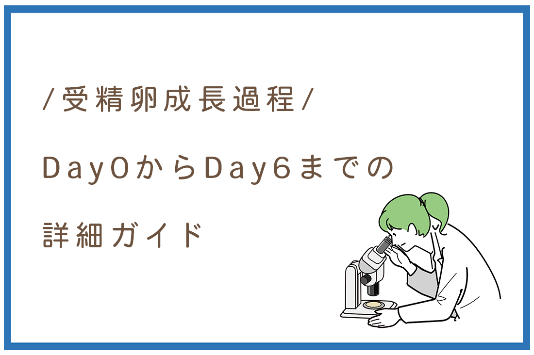 胚培養士が解説する受精卵成長過程｜Day0からDay6まで詳細ガイド｜体外受精の不安を解消します。【保存版】｜不妊治療なら生殖医療クリニック錦糸町駅前院