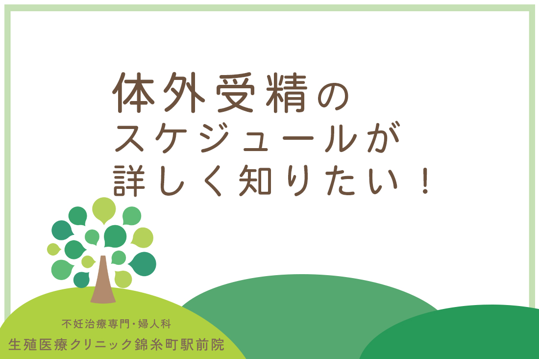 体外受精のスケジュールが詳しく知りたい！【生殖医療専門医監修】仕事と両立できる治療計画｜不妊治療なら生殖医療クリニック錦糸町駅前院