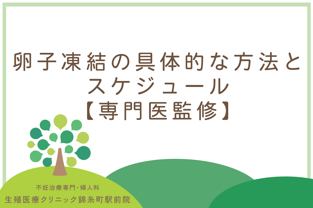 卵子凍結の具体的な方法とスケジュール【専門医監修】急速ガラス化法から顕微授精まで徹底解説｜不妊治療なら生殖医療クリニック錦糸町駅前院