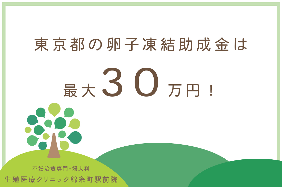 東京都の卵子凍結助成金は最大30万円！専門医が教える「30代の今」凍結すべき理由と費用のリアル｜不妊治療なら生殖医療クリニック錦糸町駅前院