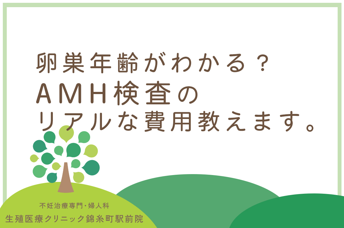 卵巣年齢がわかる？AMH検査のリアルな費用と、結果を無駄にしないための年齢別ステップアップ術【専門医が解説】｜不妊治療なら生殖医療クリニック錦糸町駅前院