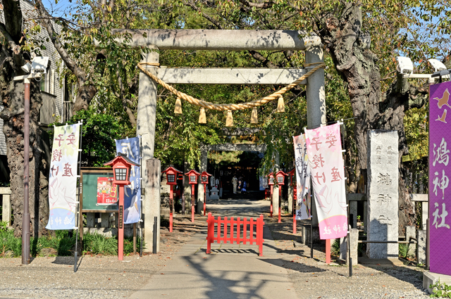 鴻神社（埼玉県鴻巣市）