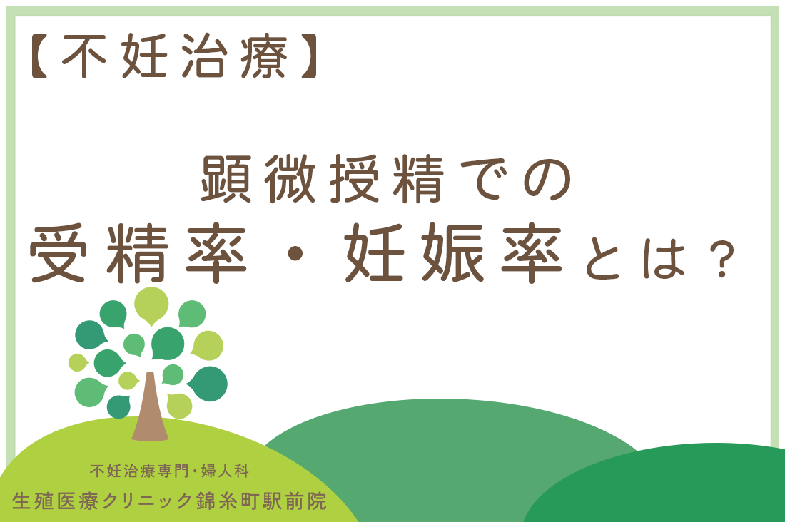 【不妊治療】顕微授精での受精率・妊娠率はどれくらい？顕微授精の確率は体外受精より高い？【専門医が解説】｜不妊治療なら生殖医療クリニック錦糸町駅前院