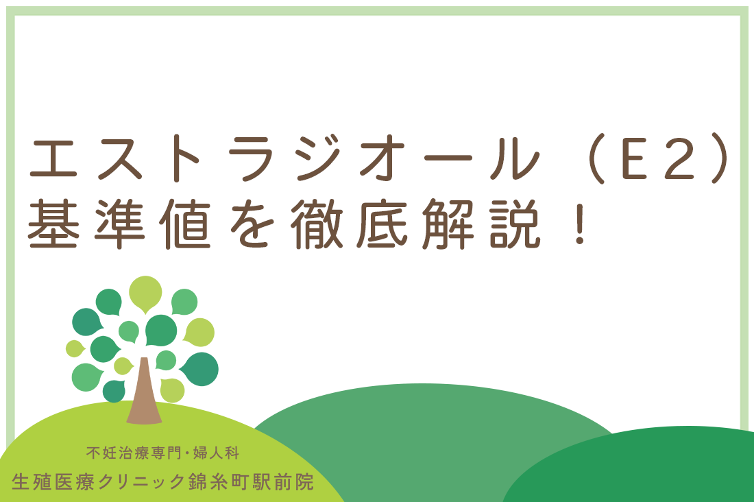 エストラジオール（E2）の基準値とは？不妊治療における月経期・採卵期の見方を専門医が解説｜不妊治療なら生殖医療クリニック錦糸町駅前院
