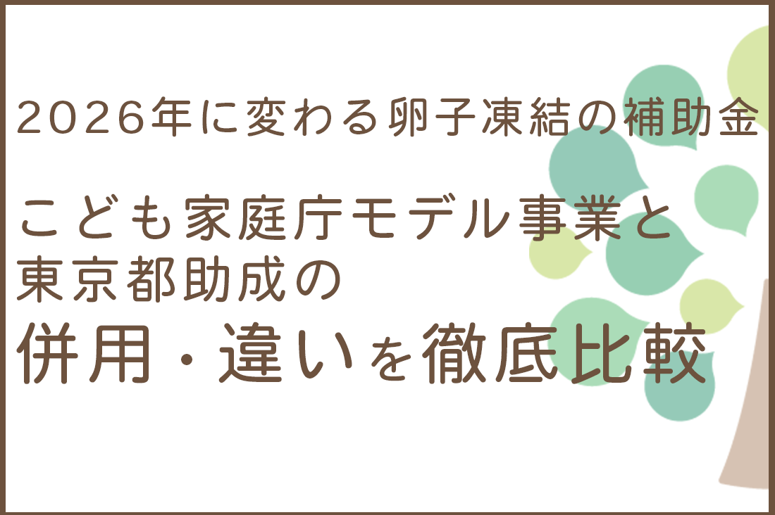 2026年に変わる卵子凍結の補助金｜こども家庭庁（子供家庭庁）モデル事業と東京都助成の併用・違いを徹底比較｜不妊治療・体外受精・卵子凍結なら生殖医療クリニック錦糸町駅前院