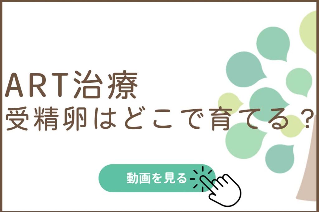 ART治療-受精卵はどこで育てる？