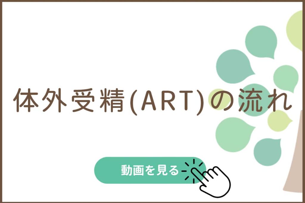 体外受精（ART）の流れ