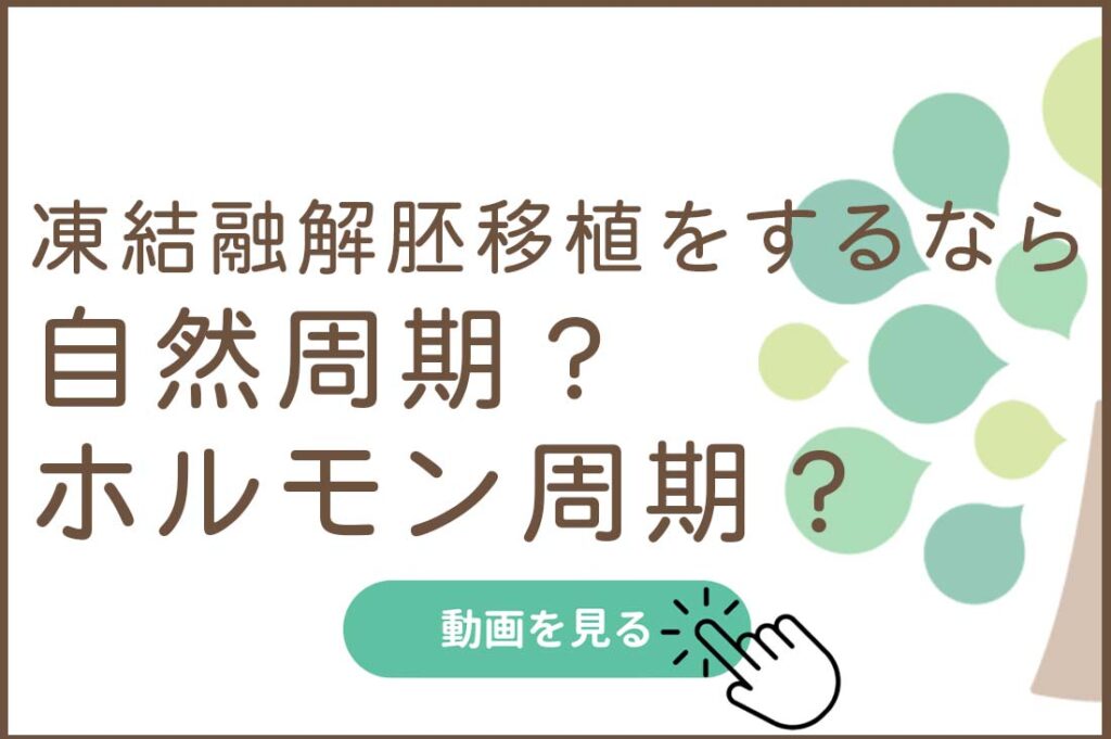 凍結融解胚移植をするなら　自然周期？ホルモン周期？