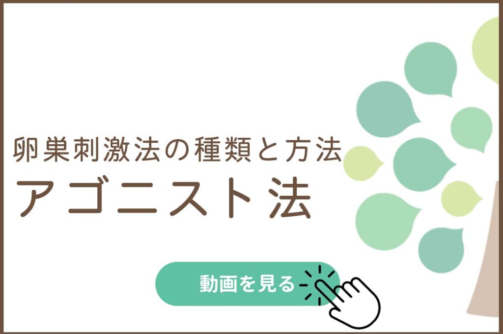 卵巣刺激法の種類と方法　アゴニスト法