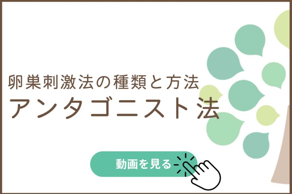 卵巣刺激法の種類と方法-アンタゴニスト法