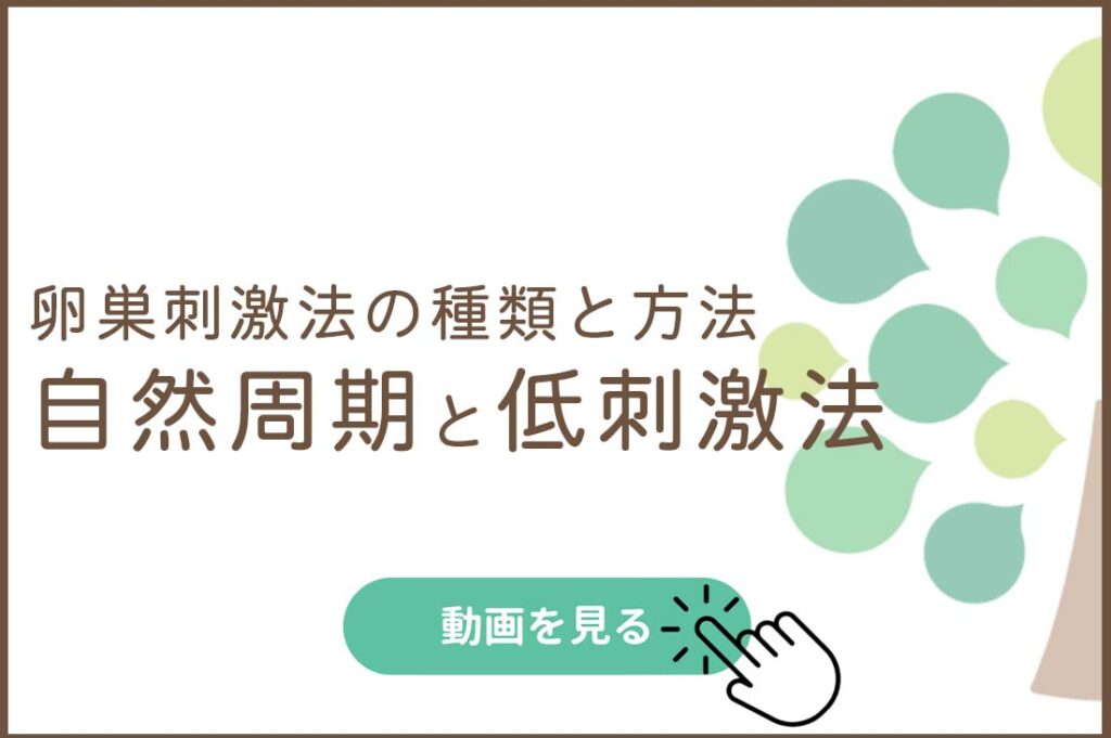 卵巣刺激法の種類と方法　自然周期と低刺激法