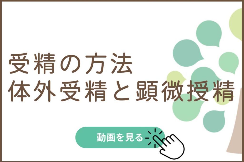受精の方法　体外受精と顕微授精