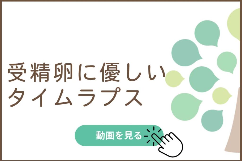 受精卵に優しいタイムラプス