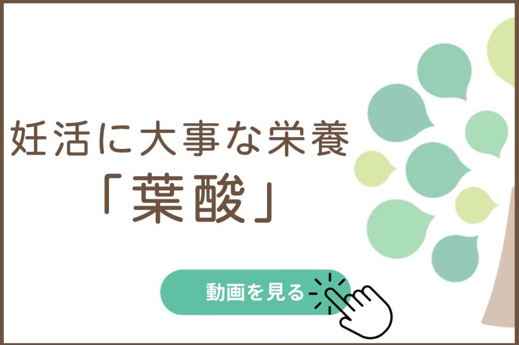 妊活に大事な栄養「葉酸」