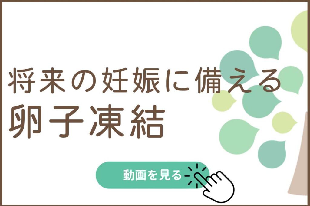 将来の妊娠に備える　卵子凍結