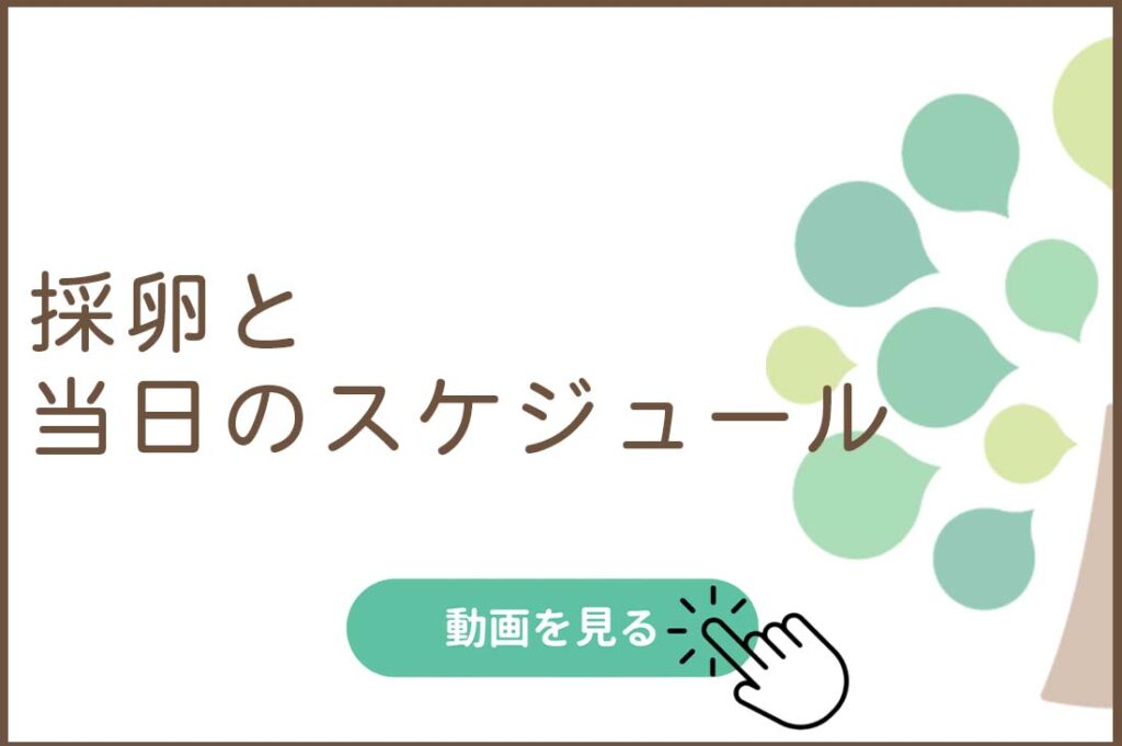 採卵と当日のスケジュール