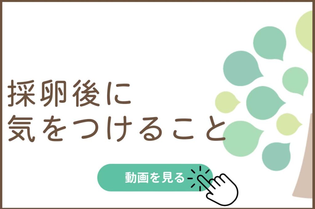 採卵後に気をつけること