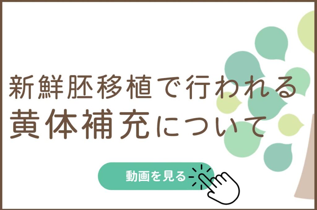 新鮮胚移植で行われる　黄体補充について