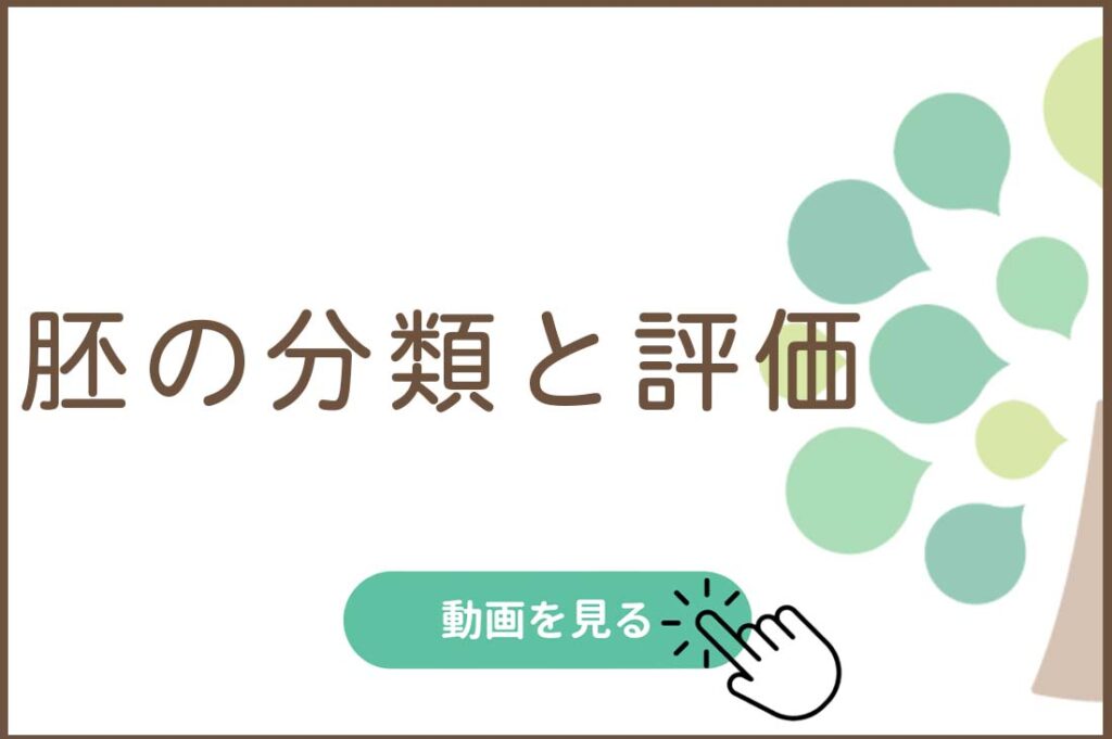 胚の分類と評価