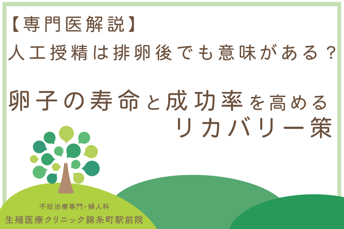 人工授精は排卵後でも意味がある？卵子の寿命と成功率を高めるリカバリー策【専門医解説】｜不妊治療・体外受精・卵子凍結なら生殖医療クリニック錦糸町駅前院