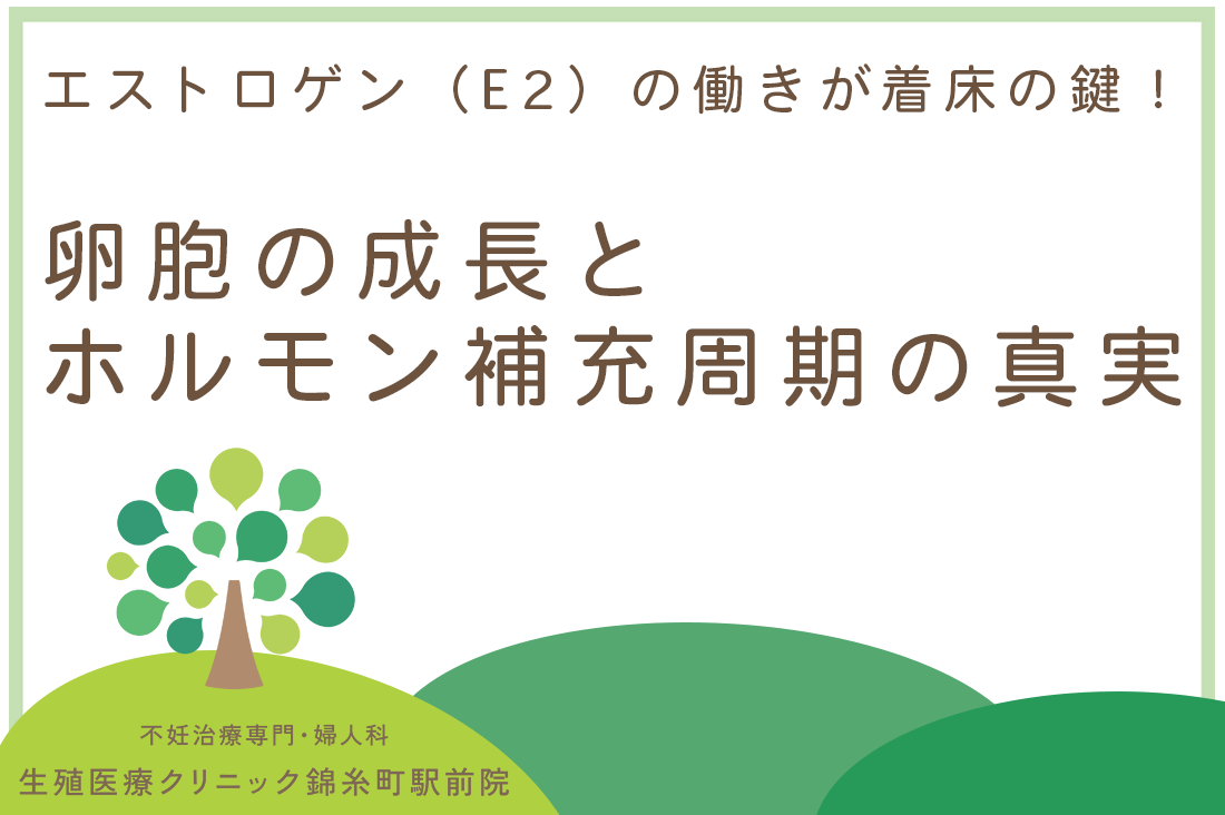 エストロゲン（E2）の働きが着床の鍵！卵胞の成長とホルモン補充周期の真実｜不妊治療・体外受精・卵子凍結なら生殖医療クリニック錦糸町駅前院