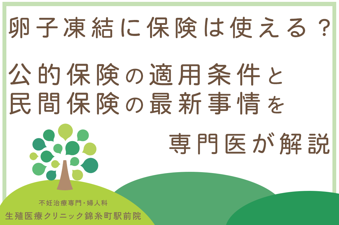卵子凍結に保険は使える？公的保険の適用条件と民間保険の最新事情を専門医が解説｜不妊治療・体外受精・卵子凍結なら生殖医療クリニック錦糸町駅前院