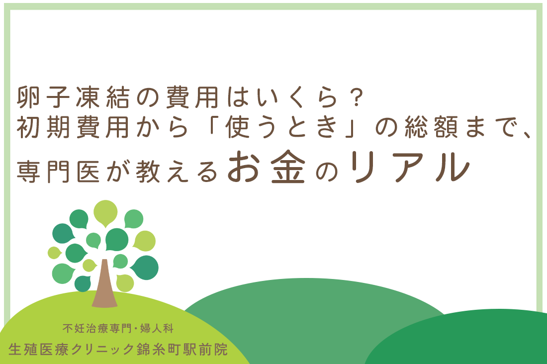 卵子凍結の費用はいくら？初期費用から「使うとき」の総額まで、専門医が教えるお金のリアル｜不妊治療・体外受精・卵子凍結なら生殖医療クリニック錦糸町駅前院