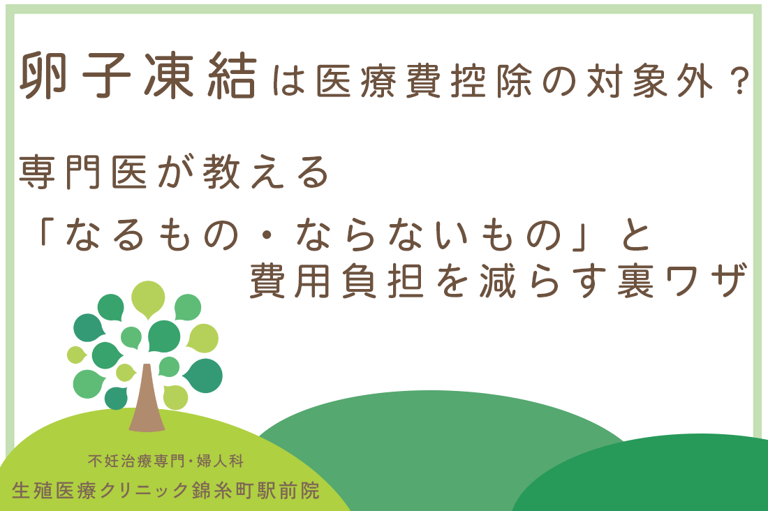 卵子卵子凍結は医療費控除の対象外？専門医が教える「なるもの・ならないもの」と費用負担を減らす裏ワザ｜不妊治療・体外受精・卵子凍結なら生殖医療クリニック錦糸町駅前院