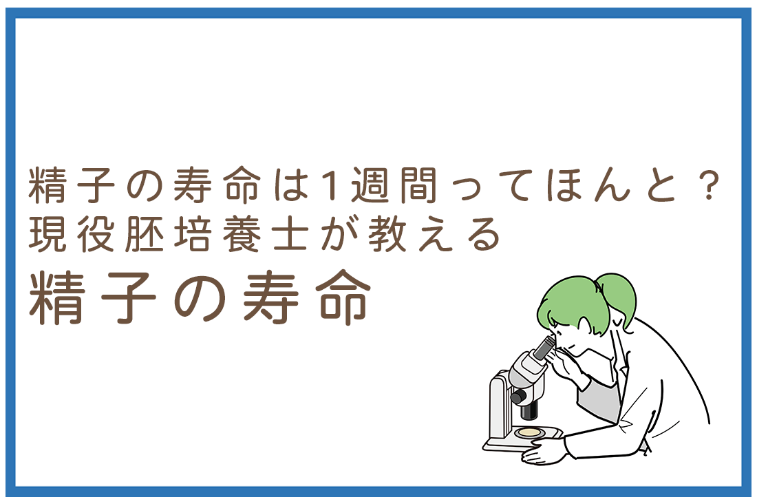 精子の寿命が1週間ってほんと？現役胚培養士が教える「受精できる時間」とタイミングの真実｜不妊治療・体外受精・卵子凍結なら生殖医療クリニック錦糸町駅前院