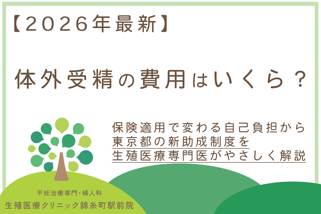 【2026年最新】体外受精の費用はいくら？保険適用で変わる自己負担額から東京都の新助成制度まで徹底解説【専門医監修】｜不妊治療・体外受精・卵子凍結なら生殖医療クリニック錦糸町駅前院