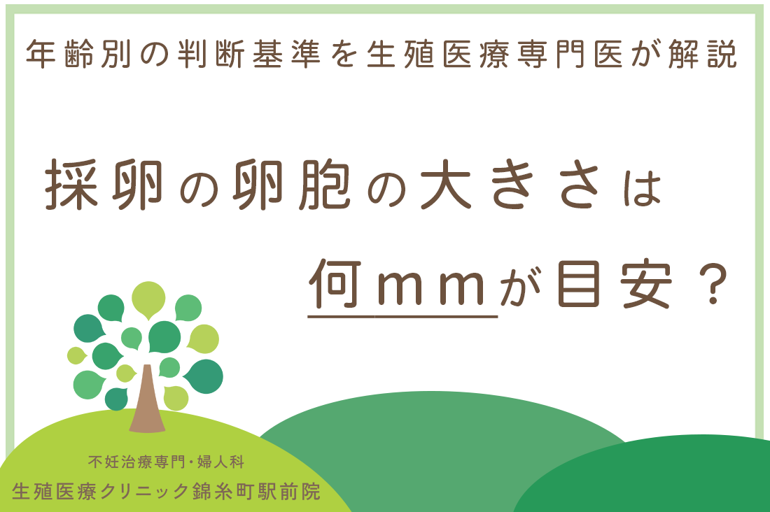 採卵の卵胞の大きさは何mmが目安？年齢別の判断基準を生殖医療専門医が解説｜不妊治療・体外受精・卵子凍結なら生殖医療クリニック錦糸町駅前院