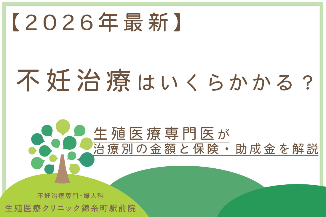 不妊治療の費用はいくらかかるの？治療法別の金額・保険適用・助成金を生殖医療専門医が解説【2026年最新】｜不妊治療・体外受精・卵子凍結なら生殖医療クリニック錦糸町駅前院