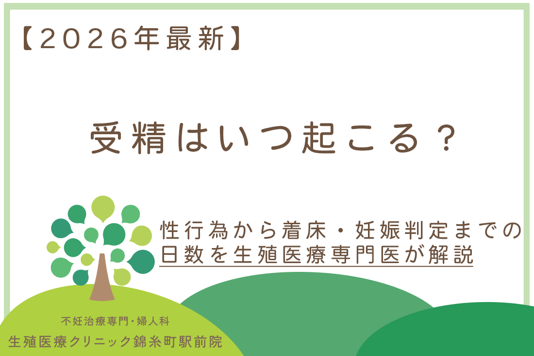 受精はいつ起こる？性行為から着床・妊娠判定までの日数を生殖医療専門医が解説【2026年最新】｜不妊治療・体外受精・卵子凍結なら生殖医療クリニック錦糸町駅前院