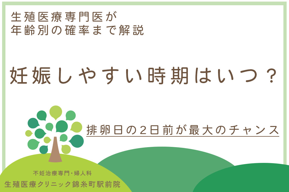 妊娠しやすい時期はいつ？排卵日の2日前が最大のチャンス｜生殖医療専門医が年齢別の確率まで解説｜不妊治療・体外受精・卵子凍結なら生殖医療クリニック錦糸町駅前院