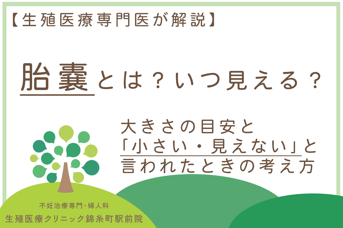 胎嚢とは？いつ見える？大きさの目安と「小さい・見えない」と言われたときの考え方｜生殖医療専門医が解説｜不妊治療・体外受精・卵子凍結なら生殖医療クリニック錦糸町駅前院